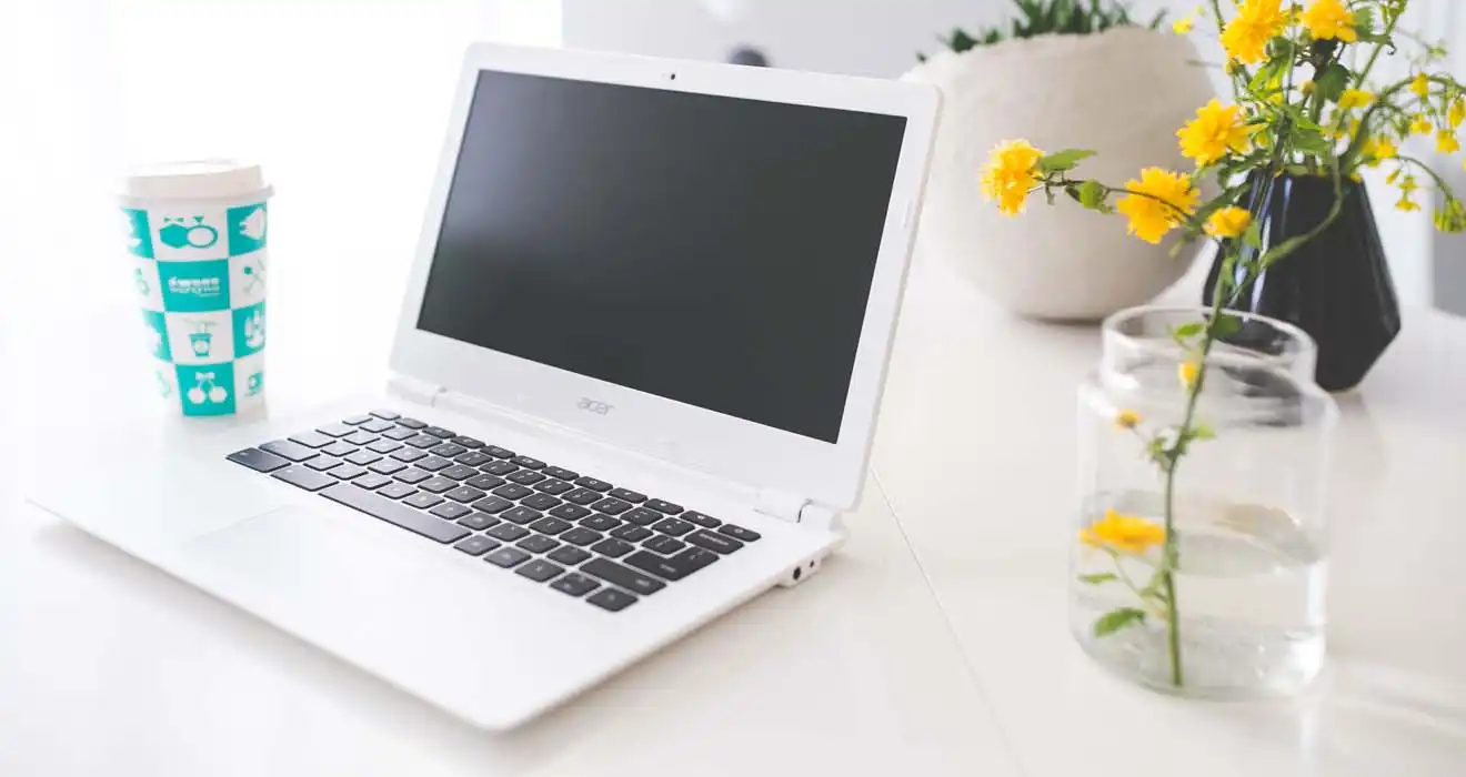 Ремонт ноутбуков Acer в Кронштадте
